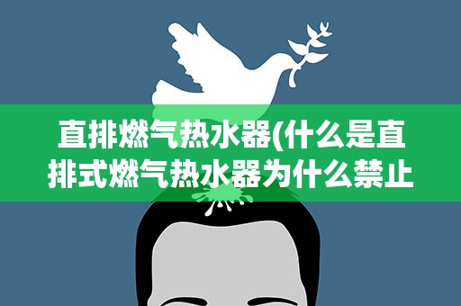 直排燃气热水器(什么是直排式燃气热水器为什么禁止使用了)