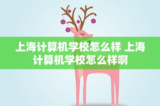 上海计算机学校怎么样 上海计算机学校怎么样啊