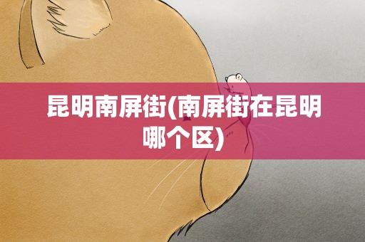 昆明南屏街(南屏街在昆明哪个区)