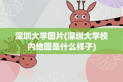 深圳大学图片(深圳大学校内地图是什么样子)
