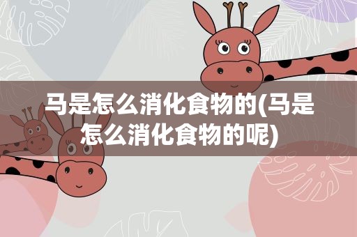 马是怎么消化食物的(马是怎么消化食物的呢)