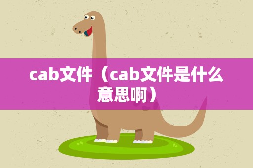 cab文件（cab文件是什么意思啊）