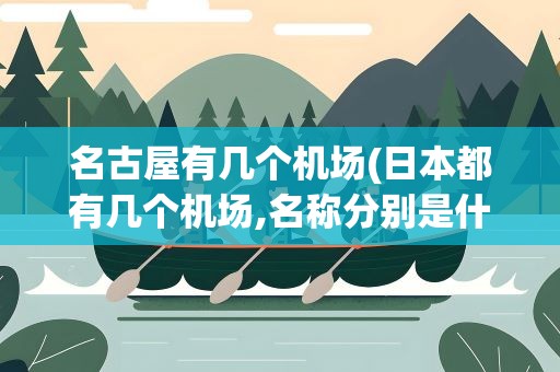 名古屋有几个机场(日本都有几个机场,名称分别是什么可以注上平假名吗谢谢)