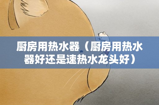 厨房用热水器（厨房用热水器好还是速热水龙头好）