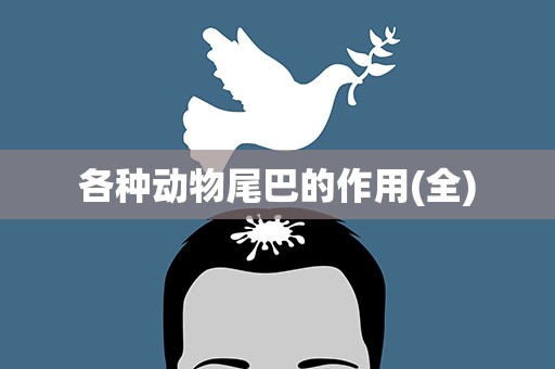 各种动物尾巴的作用(全)
