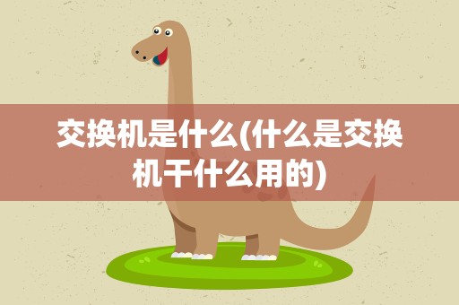 交换机是什么(什么是交换机干什么用的)