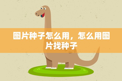 图片种子怎么用，怎么用图片找种子