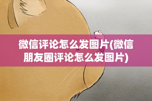 微信评论怎么发图片(微信朋友圈评论怎么发图片)