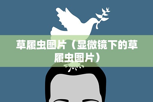 草履虫图片（显微镜下的草履虫图片）