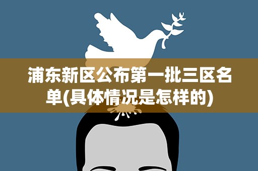 浦东新区公布第一批三区名单(具体情况是怎样的)