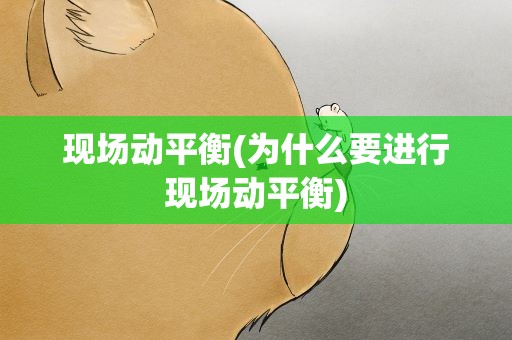现场动平衡(为什么要进行现场动平衡)