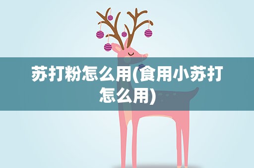 苏打粉怎么用(食用小苏打怎么用)
