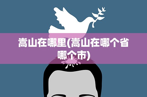 嵩山在哪里(嵩山在哪个省哪个市)