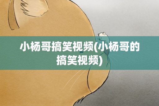 小杨哥搞笑视频(小杨哥的搞笑视频)