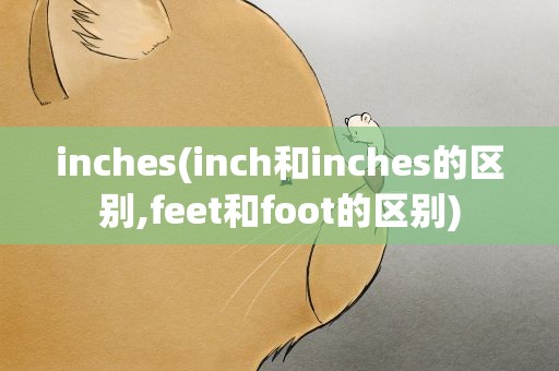 inches(inch和inches的区别,feet和foot的区别)