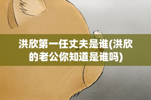 洪欣第一任丈夫是谁(洪欣的老公你知道是谁吗)