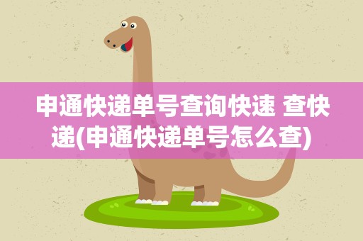 申通快递单号查询快速 查快递(申通快递单号怎么查)