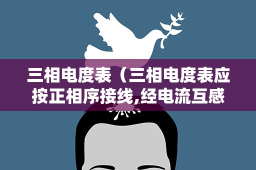 三相电度表（三相电度表应按正相序接线,经电流互感器）