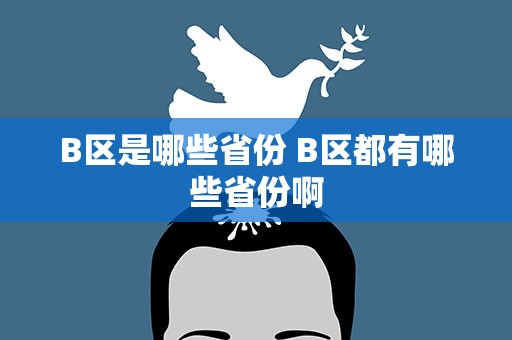 B区是哪些省份 B区都有哪些省份啊