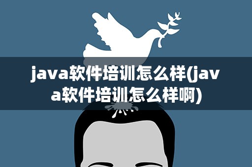 java软件培训怎么样(java软件培训怎么样啊)