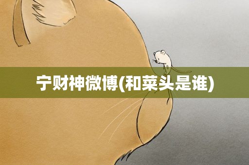 宁财神微博(和菜头是谁)