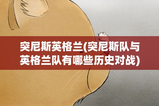 突尼斯英格兰(突尼斯队与英格兰队有哪些历史对战)