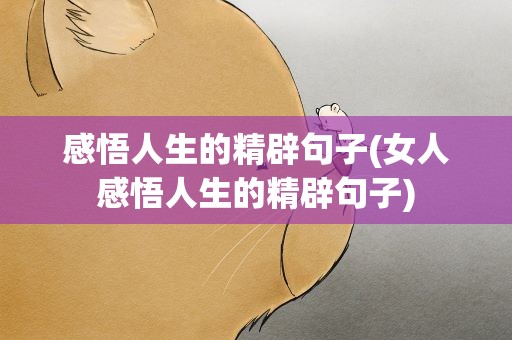 感悟人生的精辟句子(女人感悟人生的精辟句子)