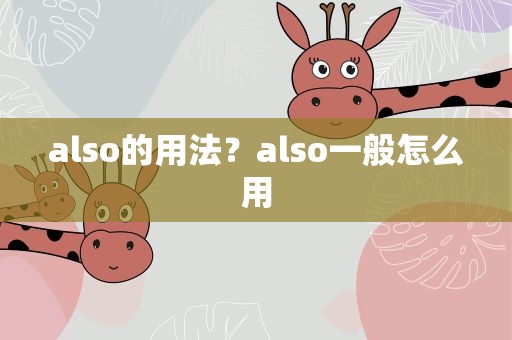 also的用法？also一般怎么用