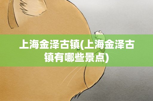 上海金泽古镇(上海金泽古镇有哪些景点)