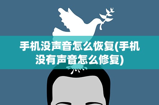 手机没声音怎么恢复(手机没有声音怎么修复)