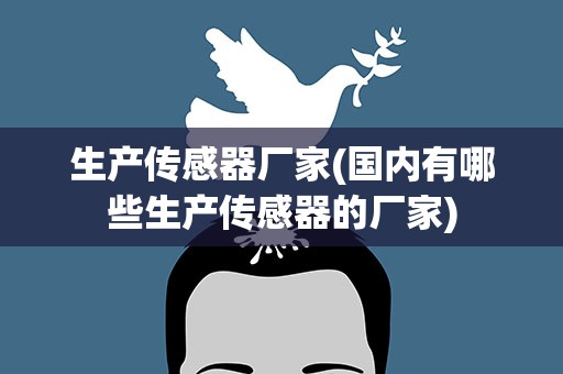 生产传感器厂家(国内有哪些生产传感器的厂家)