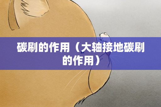 碳刷的作用（大轴接地碳刷的作用）