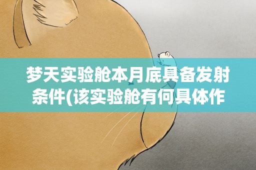 梦天实验舱本月底具备发射条件(该实验舱有何具体作用)