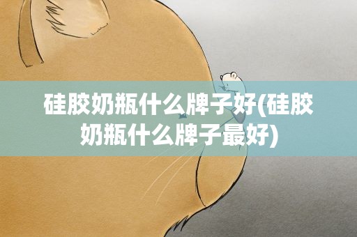 硅胶奶瓶什么牌子好(硅胶奶瓶什么牌子最好)