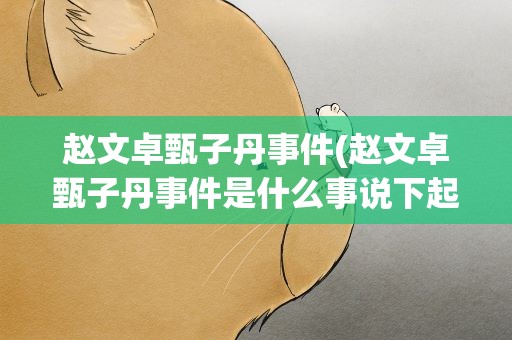 赵文卓甄子丹事件(赵文卓甄子丹事件是什么事说下起因经过。)