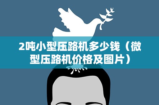 2吨小型压路机多少钱（微型压路机价格及图片）