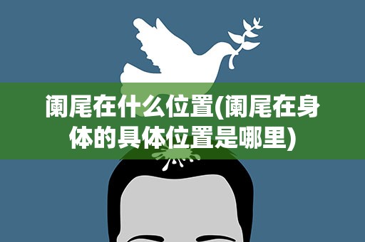 阑尾在什么位置(阑尾在身体的具体位置是哪里)