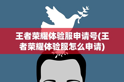 王者荣耀体验服申请号(王者荣耀体验服怎么申请)