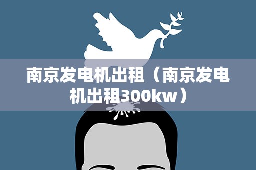 南京发电机出租（南京发电机出租300kw）