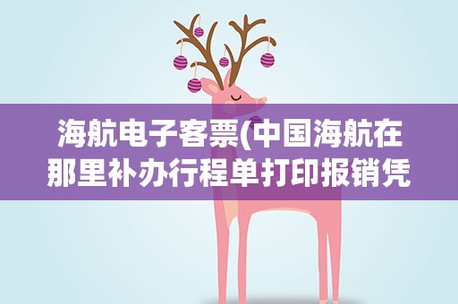 海航电子客票(中国海航在那里补办行程单打印报销凭证!)