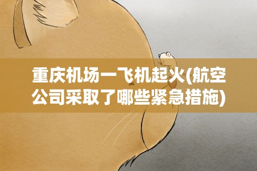 重庆机场一飞机起火(航空公司采取了哪些紧急措施)