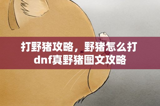 打野猪攻略，野猪怎么打 dnf真野猪图文攻略