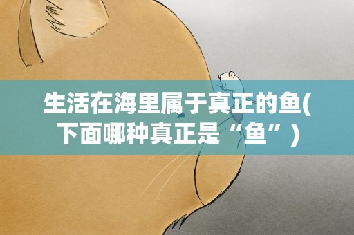 生活在海里属于真正的鱼(下面哪种真正是“鱼”)