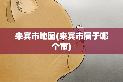 来宾市地图(来宾市属于哪个市)