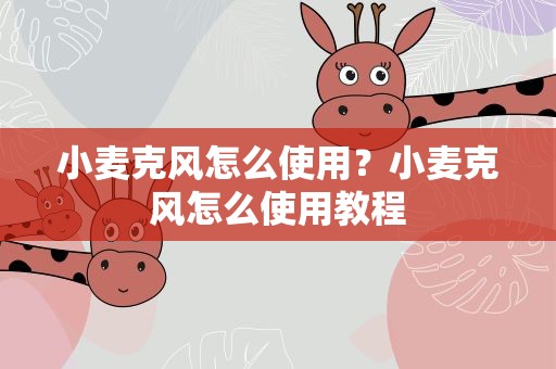 小麦克风怎么使用？小麦克风怎么使用教程