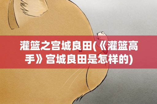 灌篮之宫城良田(《灌篮高手》宫城良田是怎样的)