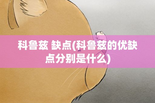 科鲁兹 缺点(科鲁兹的优缺点分别是什么)