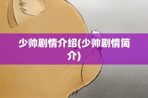 少帅剧情介绍(少帅剧情简介)