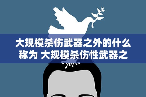 大规模杀伤武器之外的什么称为 大规模杀伤性武器之外的武器称为