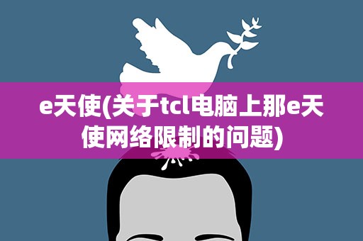 e天使(关于tcl电脑上那e天使网络限制的问题)